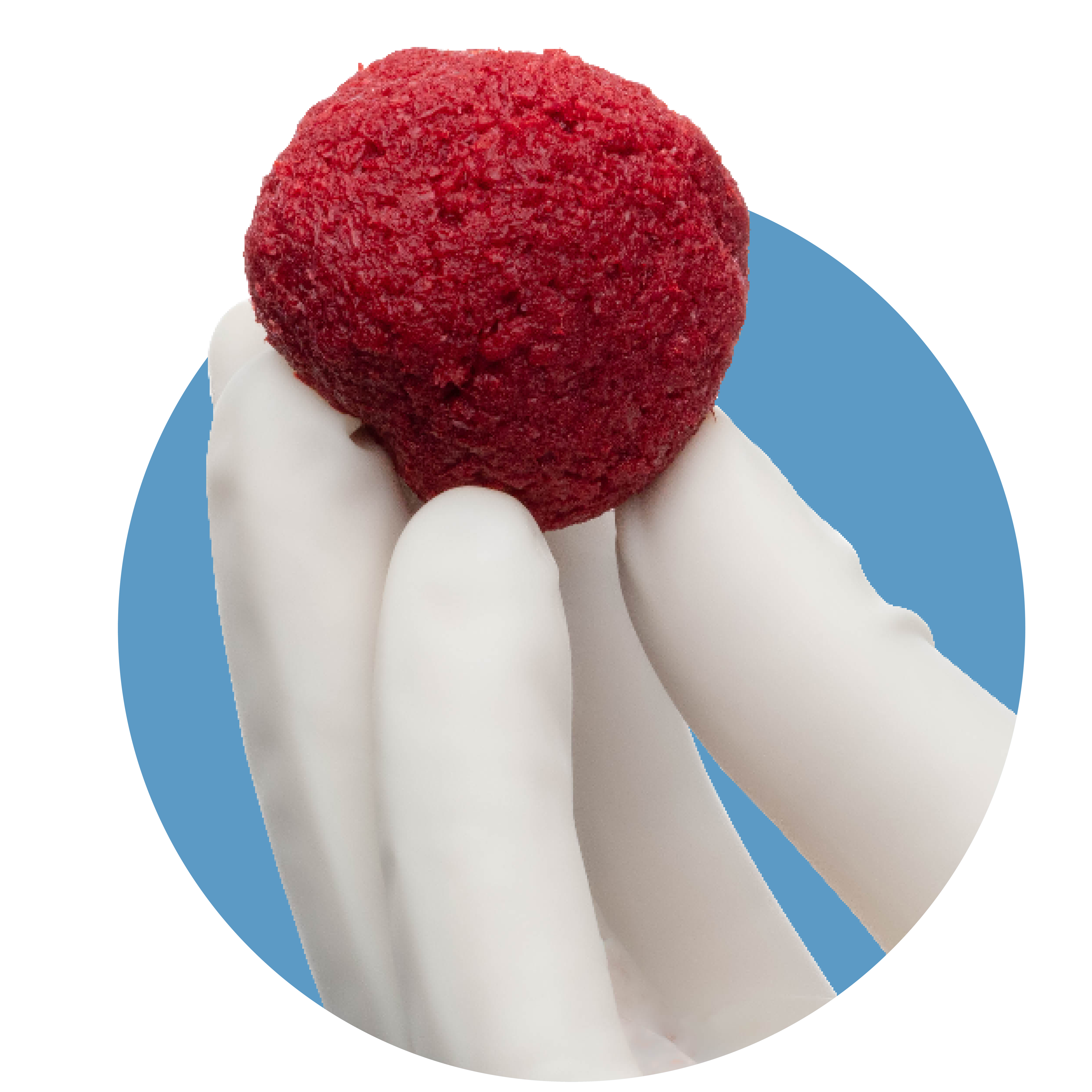 PliaFX® Advanced Fiber DBMs | LifeNet Health